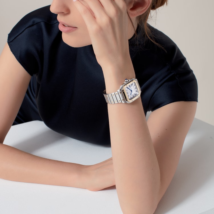 [SIMCHA-TOP500:CARTIER:W2SA0016:02] Cartier Santos de Cartier watch, reference W2SA0016, official image 2