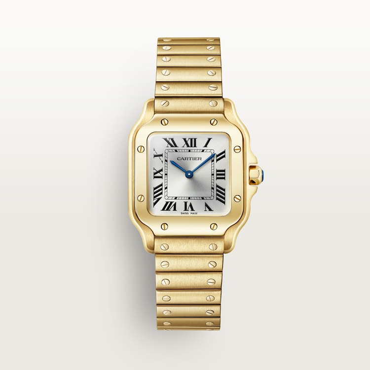 [SIMCHA-TOP500:CARTIER:WGSA0107:01] Cartier Santos de Cartier watch, reference WGSA0107, official front hero