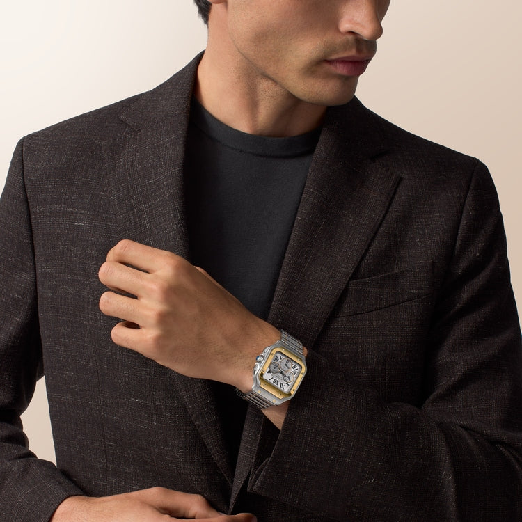 [SIMCHA-TOP500:CARTIER:W2SA0035:02] Cartier Santos de Cartier watch, reference W2SA0035, official image 2
