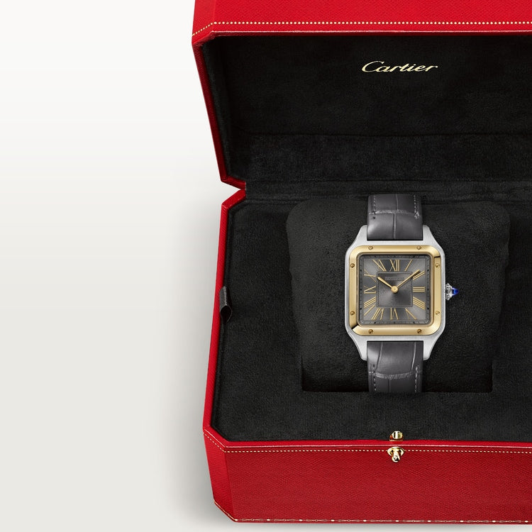 [SIMCHA-TOP500:CARTIER:W2SA0036:06] Cartier Santos-Dumont watch, reference W2SA0036, official image 6