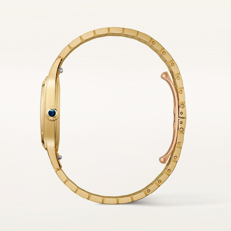 [SIMCHA-TOP500:CARTIER:WGSA0122:03] Cartier Santos-Dumont watch, reference WGSA0122, official image 3