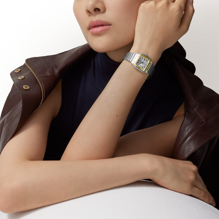 [SIMCHA-TOP500:CARTIER:W2SA0033:02] Cartier Santos de Cartier watch, reference W2SA0033, official image 2