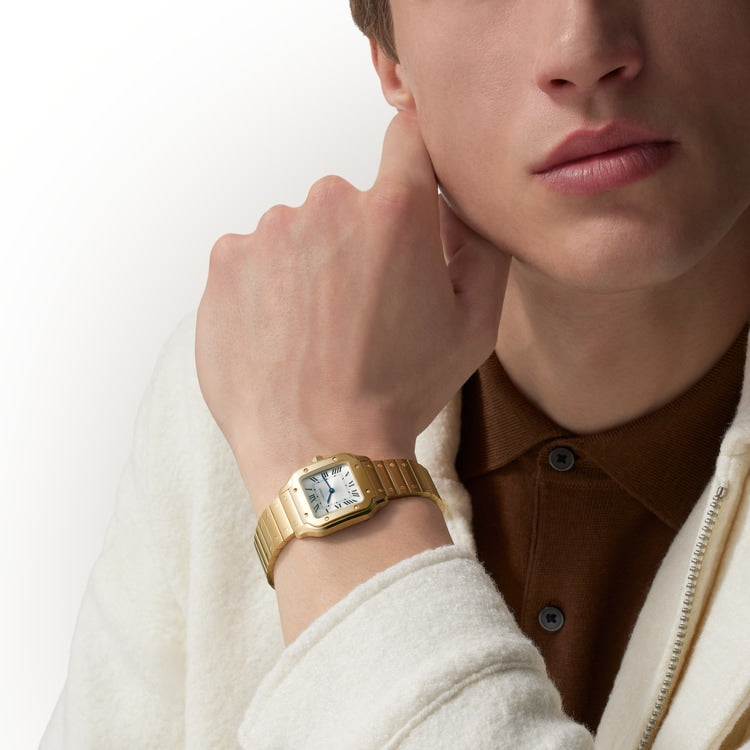 [SIMCHA-TOP500:CARTIER:WGSA0107:03] Cartier Santos de Cartier watch, reference WGSA0107, official image 3