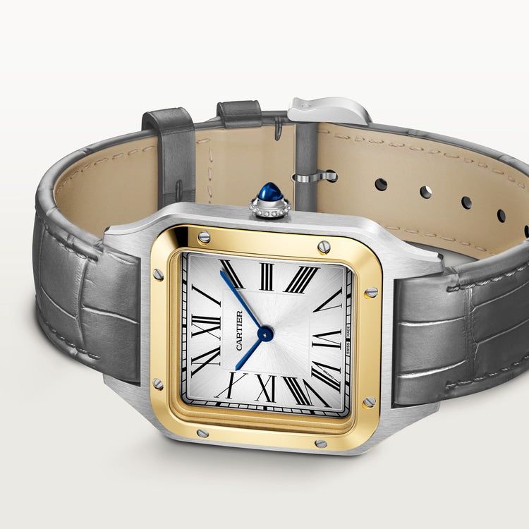 [SIMCHA-TOP500:CARTIER:W2SA0034:06] Cartier Santos-Dumont watch, reference W2SA0034, official image 6