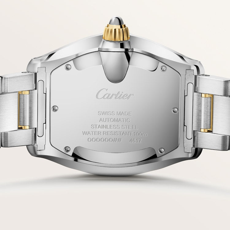 [SIMCHA-TOP500:CARTIER:W2RD0010:03] Cartier Roadster watch, reference W2RD0010, official image 3