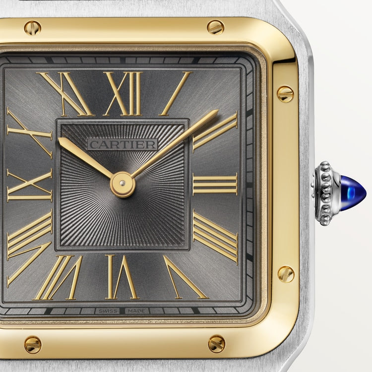 [SIMCHA-TOP500:CARTIER:W2SA0036:03] Cartier Santos-Dumont watch, reference W2SA0036, official image 3