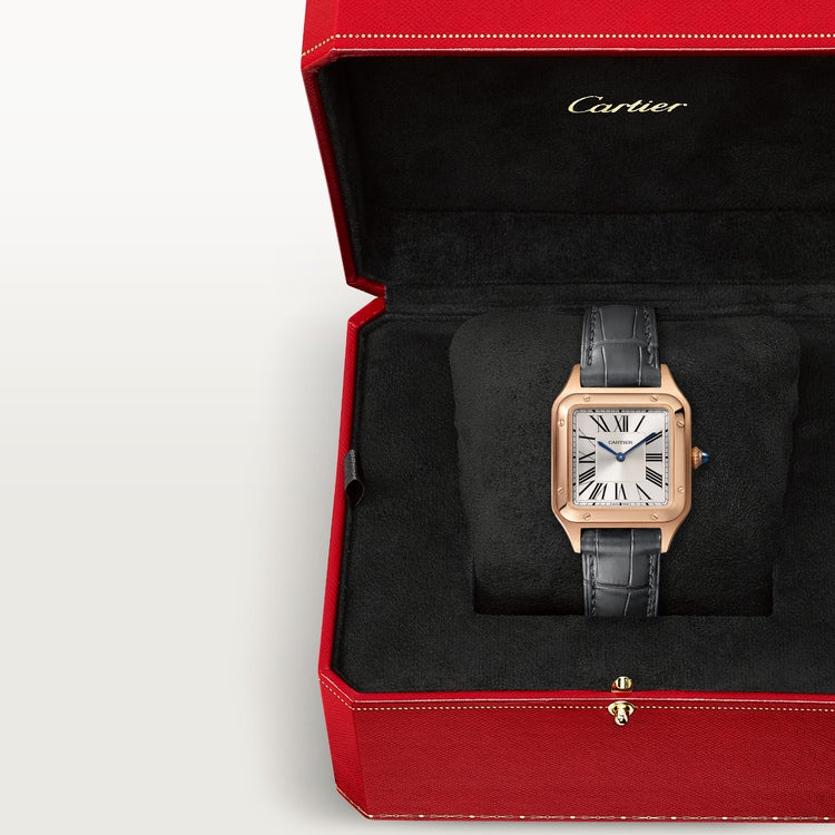 [SIMCHA-TOP500:CARTIER:WGSA0117:06] Cartier Santos-Dumont watch, reference WGSA0117, official image 6