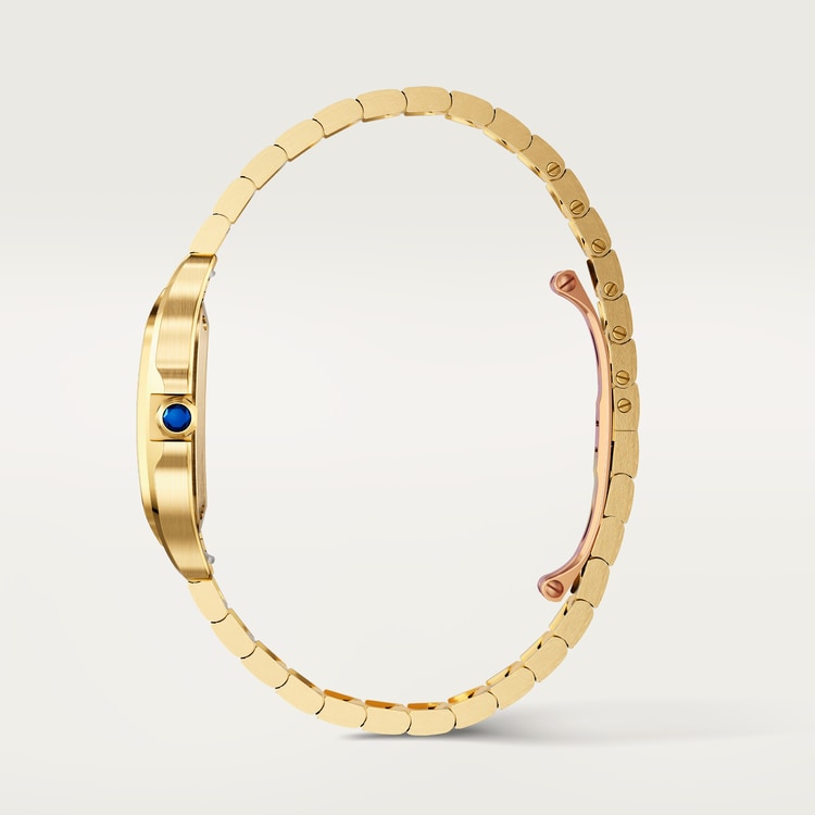 [SIMCHA-TOP500:CARTIER:WGSA0107:06] Cartier Santos de Cartier watch, reference WGSA0107, official image 6