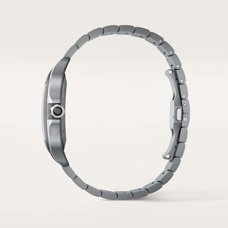 [SIMCHA-TOP500:CARTIER:WSSA0089:05] Cartier Santos de Cartier watch, reference WSSA0089, official image 5