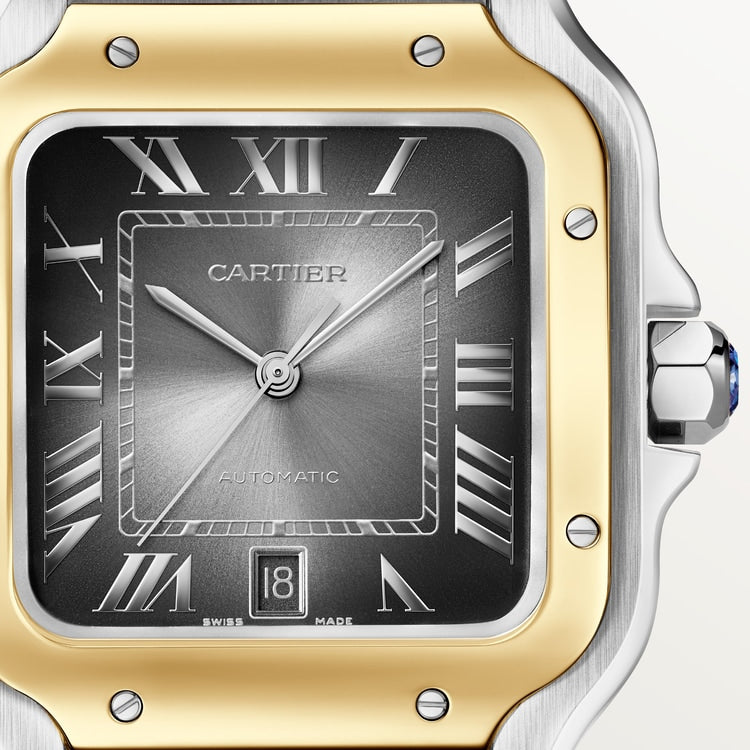 [SIMCHA-TOP500:CARTIER:W2SA0030:04] Cartier Santos de Cartier watch, reference W2SA0030, official image 4