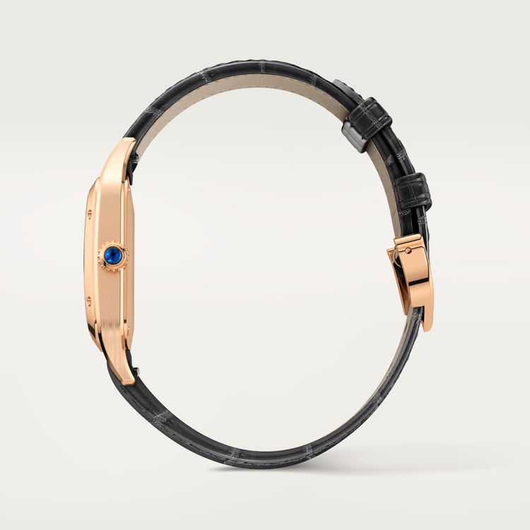 [SIMCHA-TOP500:CARTIER:WGSA0117:04] Cartier Santos-Dumont watch, reference WGSA0117, official image 4