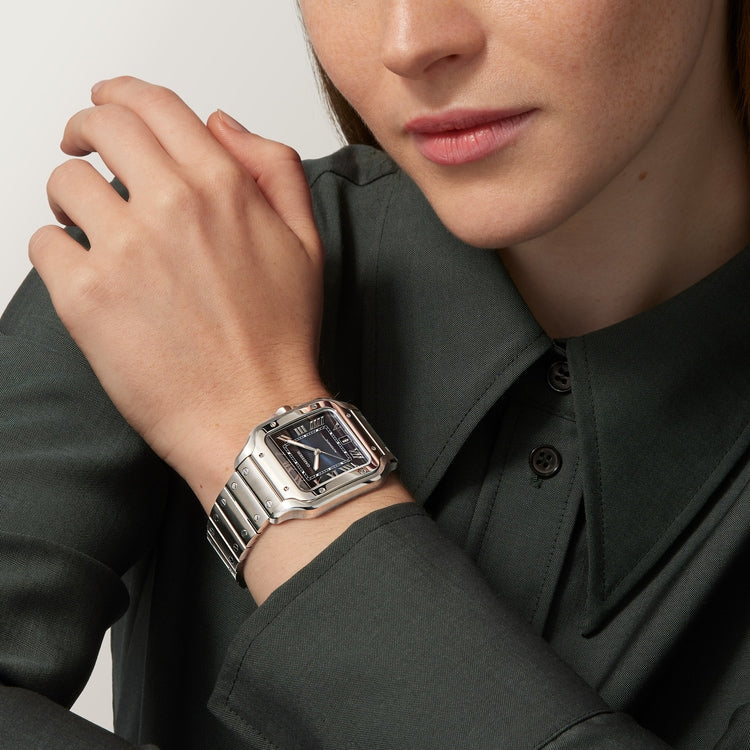 [SIMCHA-TOP500:CARTIER:WSSA0071:03] Cartier Santos de Cartier watch, reference WSSA0071, official image 3