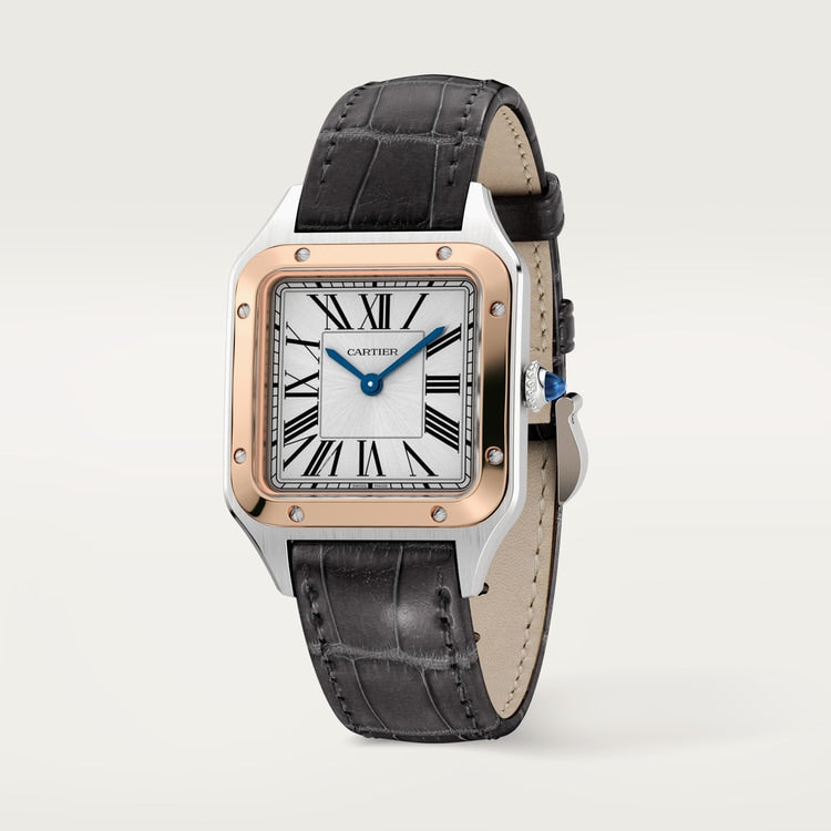 [SIMCHA-TOP500:CARTIER:W2SA0038:02] Cartier Santos-Dumont watch, reference W2SA0038, official image 2