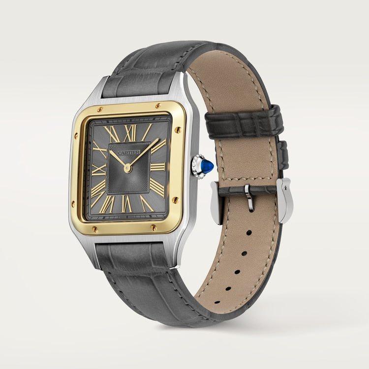 [SIMCHA-TOP500:CARTIER:W2SA0036:02] Cartier Santos-Dumont watch, reference W2SA0036, official image 2