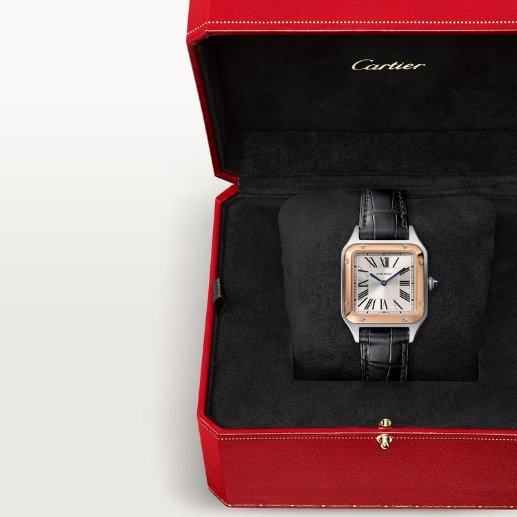 [SIMCHA-TOP500:CARTIER:W2SA0038:06] Cartier Santos-Dumont watch, reference W2SA0038, official image 6