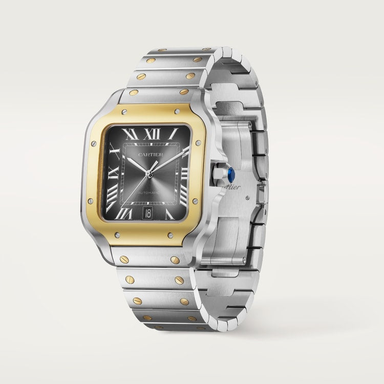 [SIMCHA-TOP500:CARTIER:W2SA0030:02] Cartier Santos de Cartier watch, reference W2SA0030, official image 2