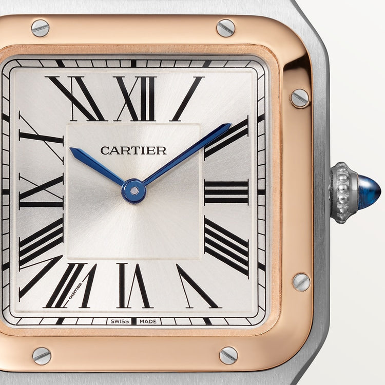 [SIMCHA-TOP500:CARTIER:W2SA0038:03] Cartier Santos-Dumont watch, reference W2SA0038, official image 3