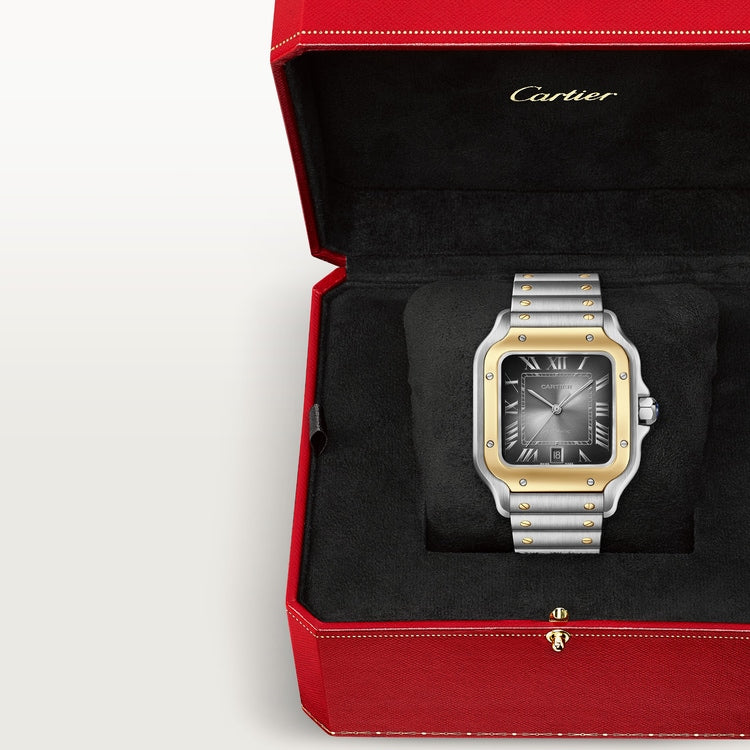 [SIMCHA-TOP500:CARTIER:W2SA0030:08] Cartier Santos de Cartier watch, reference W2SA0030, official image 8