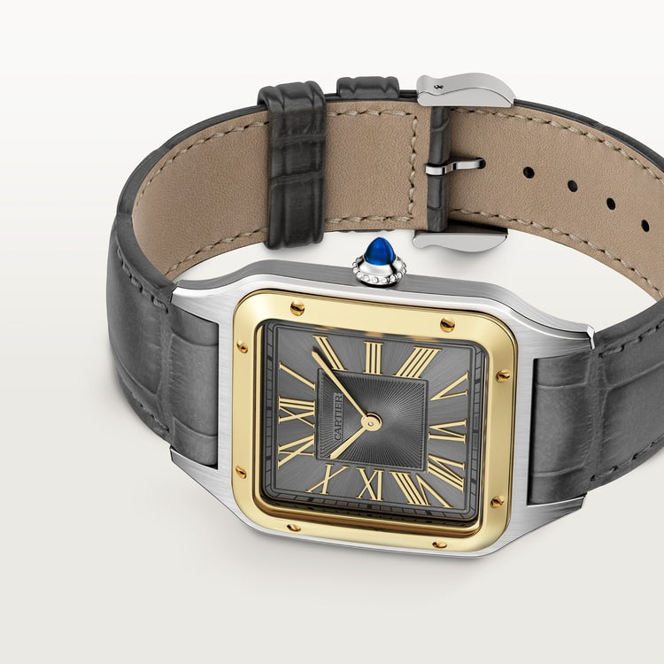 [SIMCHA-TOP500:CARTIER:W2SA0036:05] Cartier Santos-Dumont watch, reference W2SA0036, official image 5
