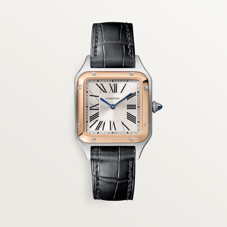 [SIMCHA-TOP500:CARTIER:W2SA0038:01] Cartier Santos-Dumont watch, reference W2SA0038, official front hero