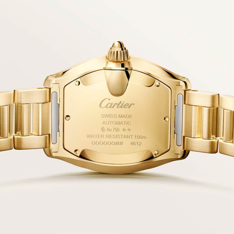 [SIMCHA-TOP500:CARTIER:WGRD0011:03] Cartier Roadster watch, reference WGRD0011, official image 3