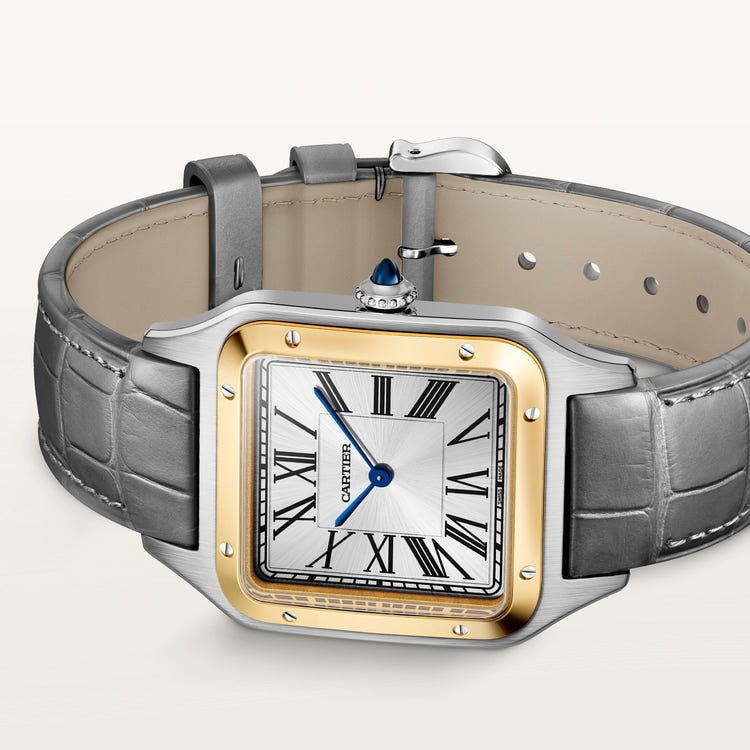 [SIMCHA-TOP500:CARTIER:W2SA0046:06] Cartier Santos-Dumont watch, reference W2SA0046, official image 6