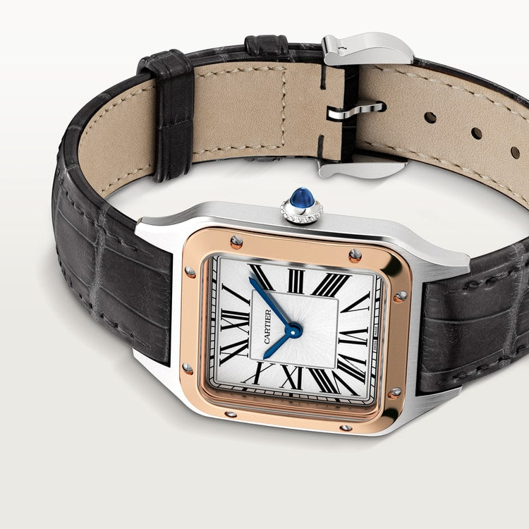 [SIMCHA-TOP500:CARTIER:W2SA0038:05] Cartier Santos-Dumont watch, reference W2SA0038, official image 5