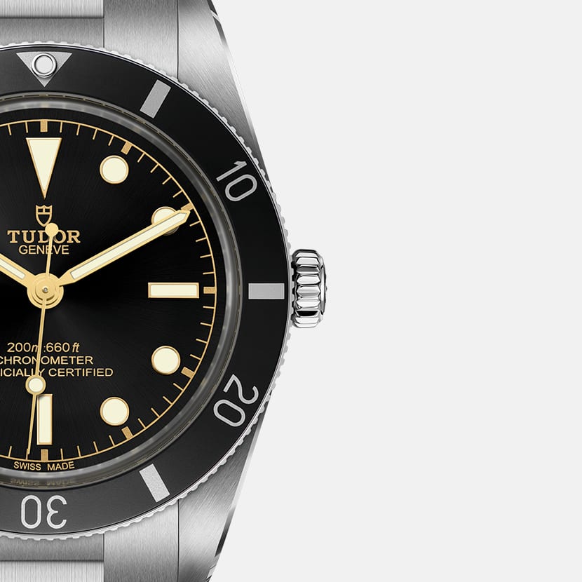 [SIMCHA-TOP500:TUDOR:M79000N-0001:07] Black Bay 54 Manufacture Calibre MT5400 37mm steel case Steel bracelet