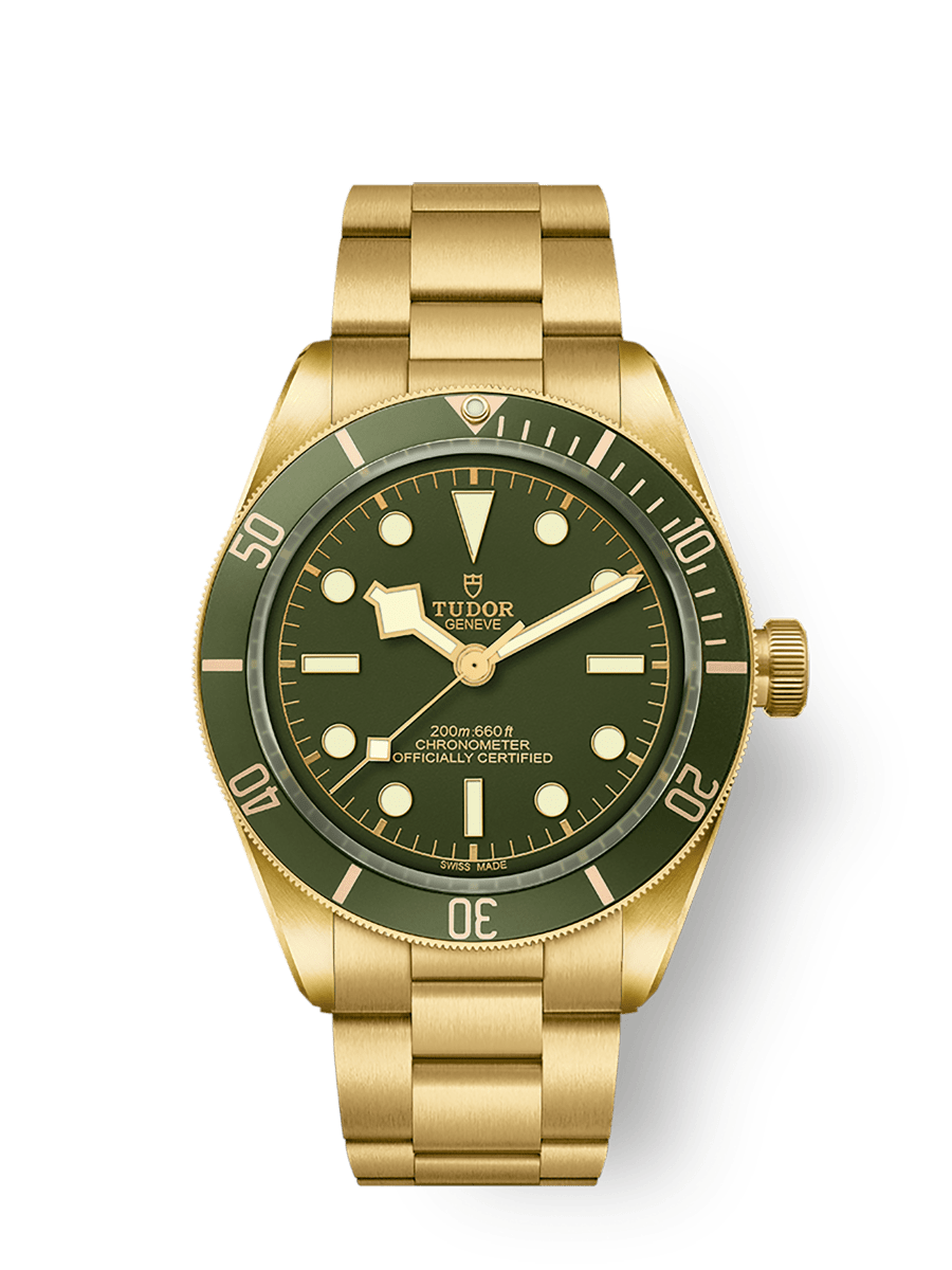 [SIMCHA-TOP500:TUDOR:M79018V-0006:01] Black Bay 58 18K 39mm yellow gold case Yellow gold bracelet