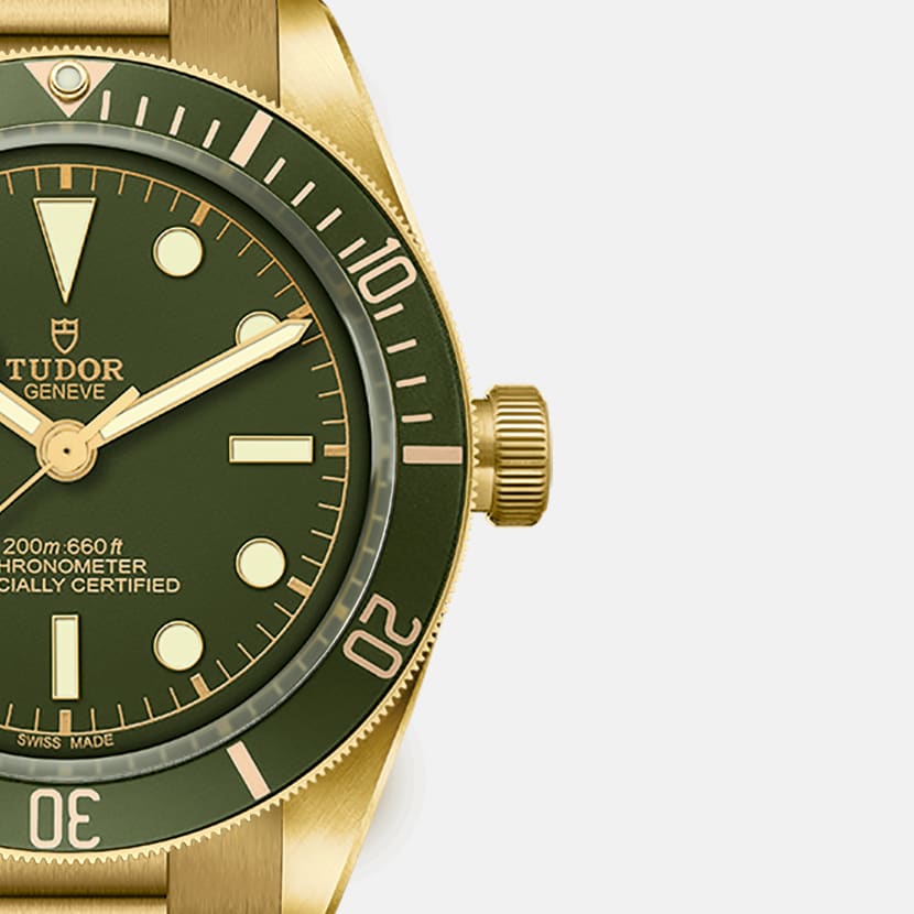 [SIMCHA-TOP500:TUDOR:M79018V-0006:06] Black Bay 58 18K Manufacture Calibre MT5400 39mm yellow gold case Yellow gold bracelet